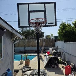 Lifetime Basketball Hoop