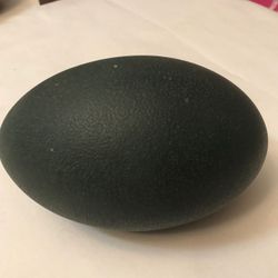 Emu Egg