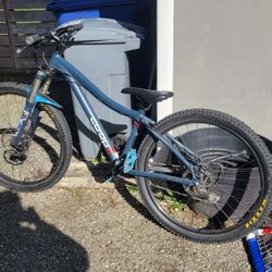 REI CO-OP | Women's Mountain Bike | Size Small Frame