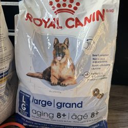 Dog Food 