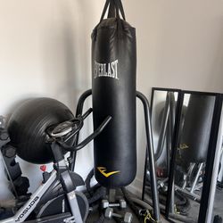 Punching Bag & Stand 