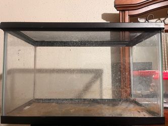 10 gallon tank