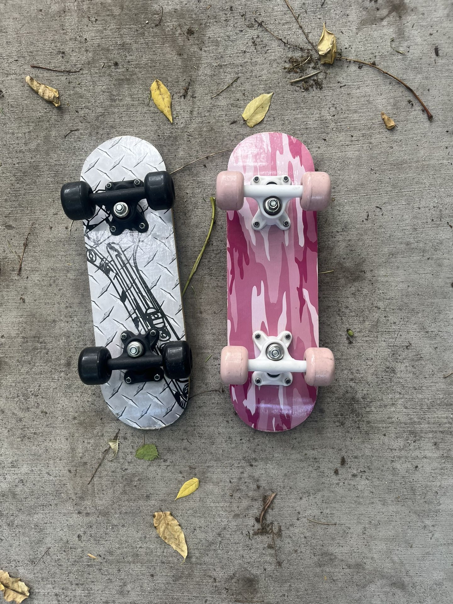 2 Mini Skateboards