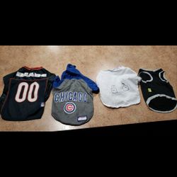 3 dog shirts, onesie, harness for an small dog (11lbs or so) and 1 doctor costume