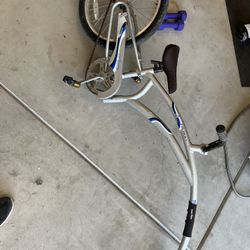 Tag Along Bike
