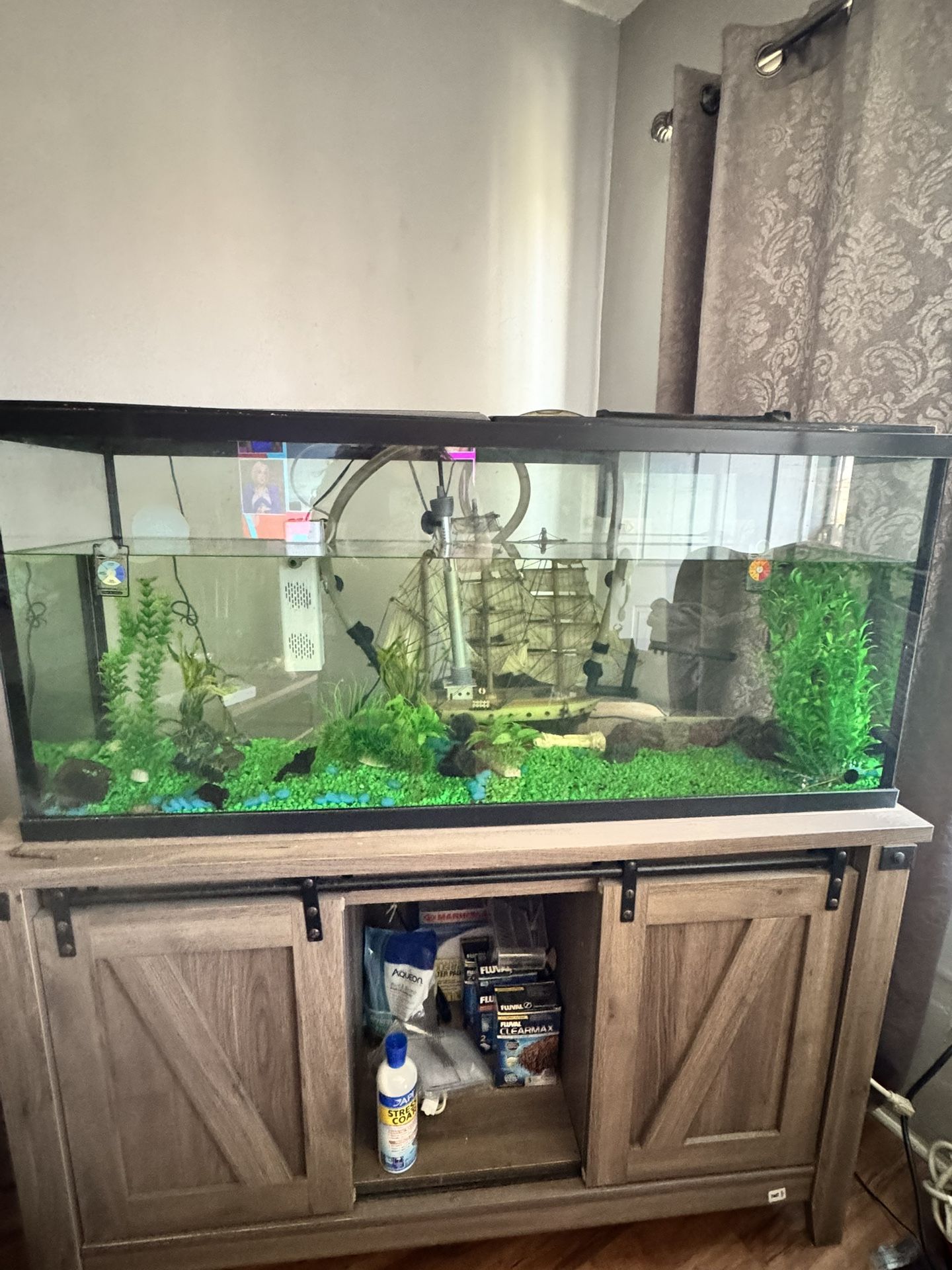 Fish Tank