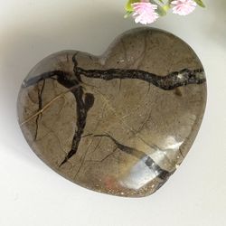 Septarian Heart 💛