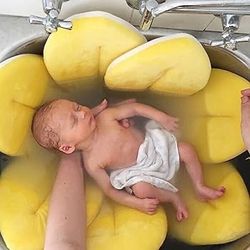 Bloomin Bath Seat 