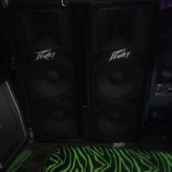 Peavey 215 Dual 15" (Pair)