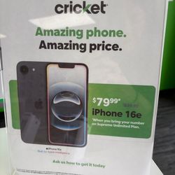Cricket
