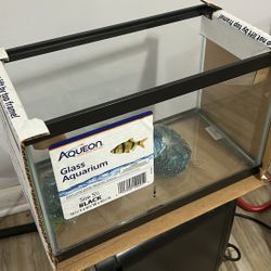 Fish tank