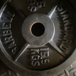 Barbell 35 pounds one piece