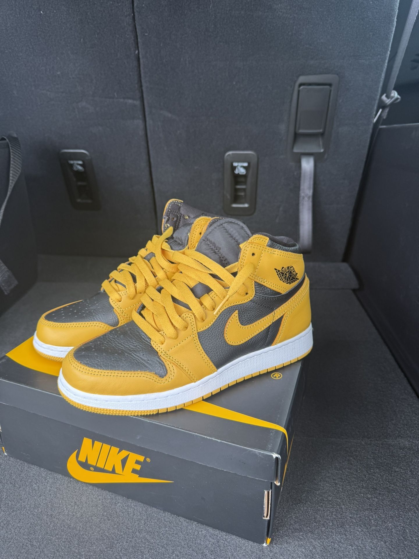 Pollen Jordan 1