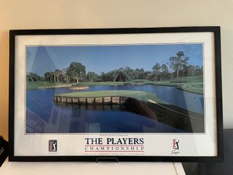 Custom TPC Sawgrass Framed Print Golf 17th hole