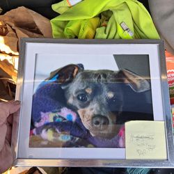 This item is a photography business