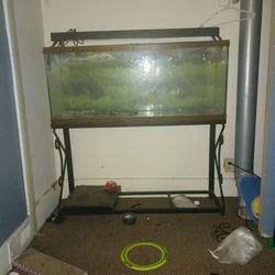 Full Sized Fish Tank With Stand And Light