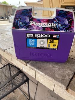 Ice cooler