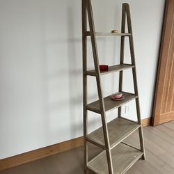 Shelf Ladder