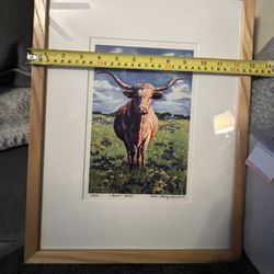 Long Horn Framed Picture 