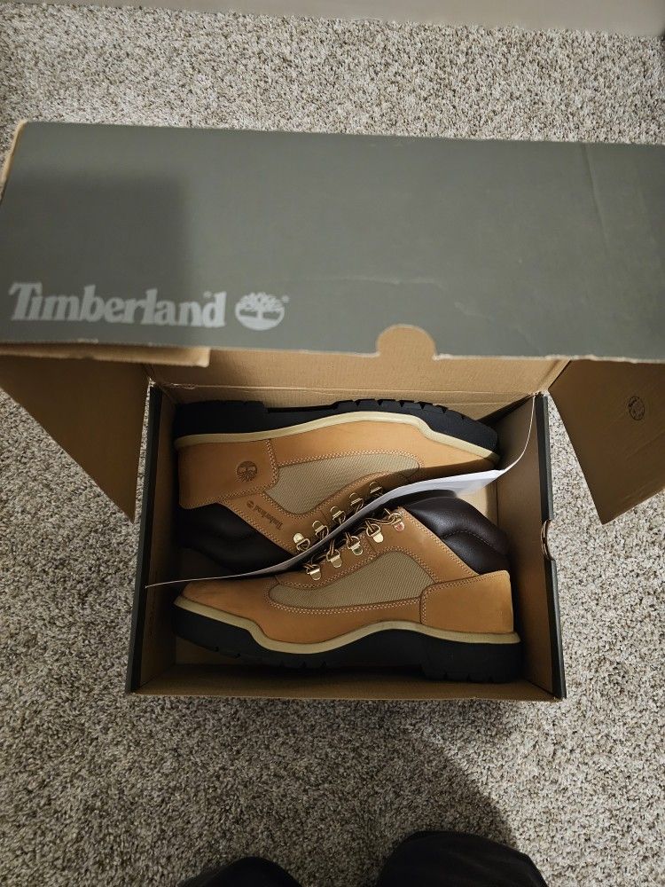 Tim's Size 12
