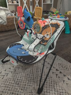 Fisher Price Baby Bouncer 