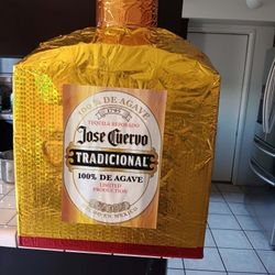 Tequila bottle shaped piñata