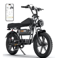 T73 Electric Bike with Cargo Rack,1000W/1500W/3000W Motor,48V15Ah/36Ah/41Ah Battery,30/33/37.5Mph Speed,20''*4'' Fat Tire, Commute/Country/Snow Riding