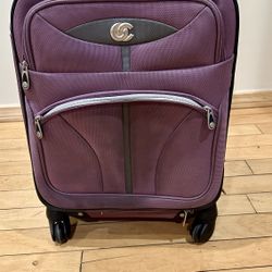20” Carry On 4 Wheel Luggage - Purple 