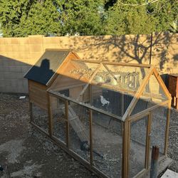 Chicken Coop And Nesting Box