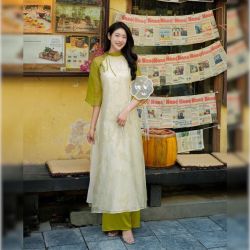 Ao Dai Vietnamese Dress 