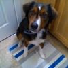 Maggie