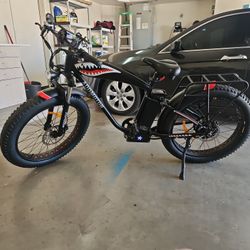 Fat Tire Ebike Exellent Commuter