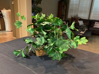 Wicker Basket fake house plant