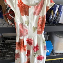 *Women’s Dresses/Skirt*