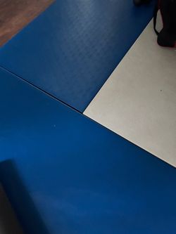 Zebra swain mats
