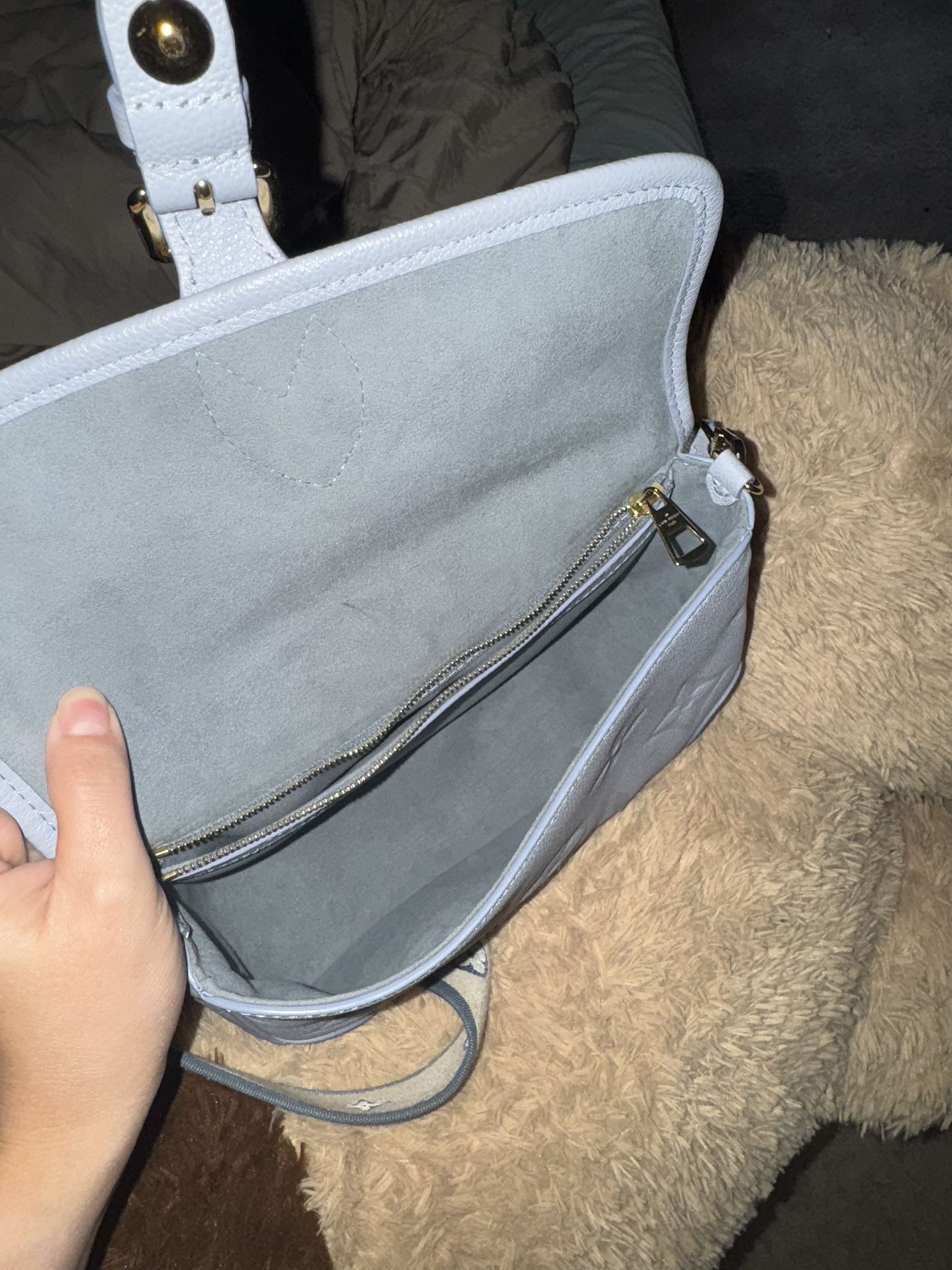 Louie v Bag The Diane