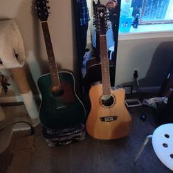 Washburn 6 String And Washburn 12 String 