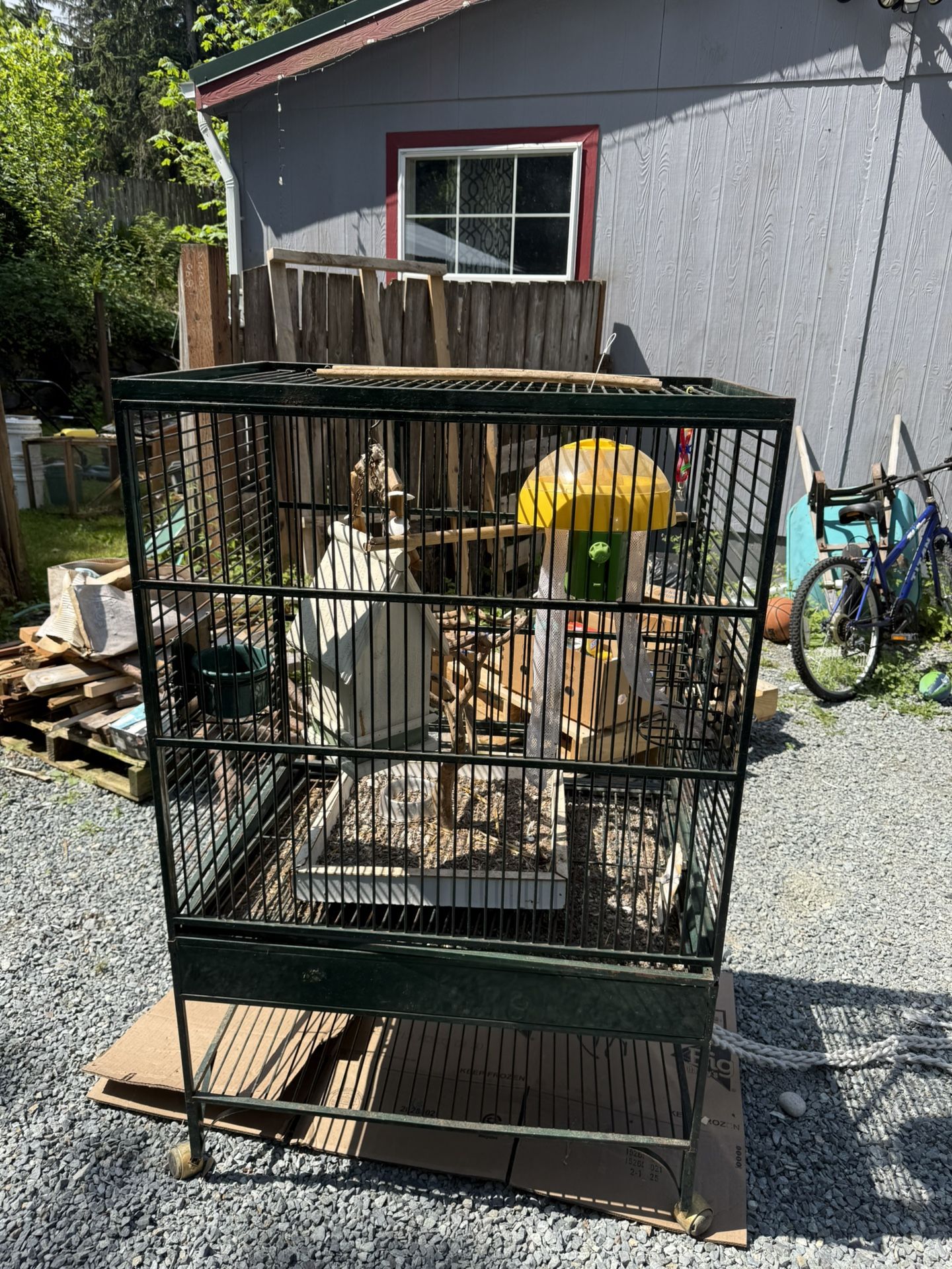 Bird Cage