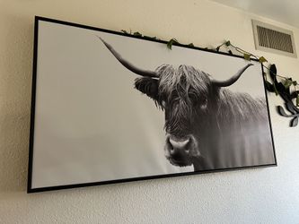 Highland Cow Framed Canvas