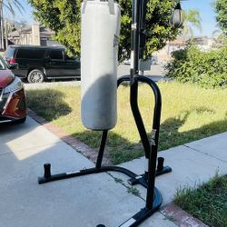 Everlast Stand and Punching Bag