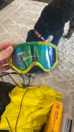 Ski goggles