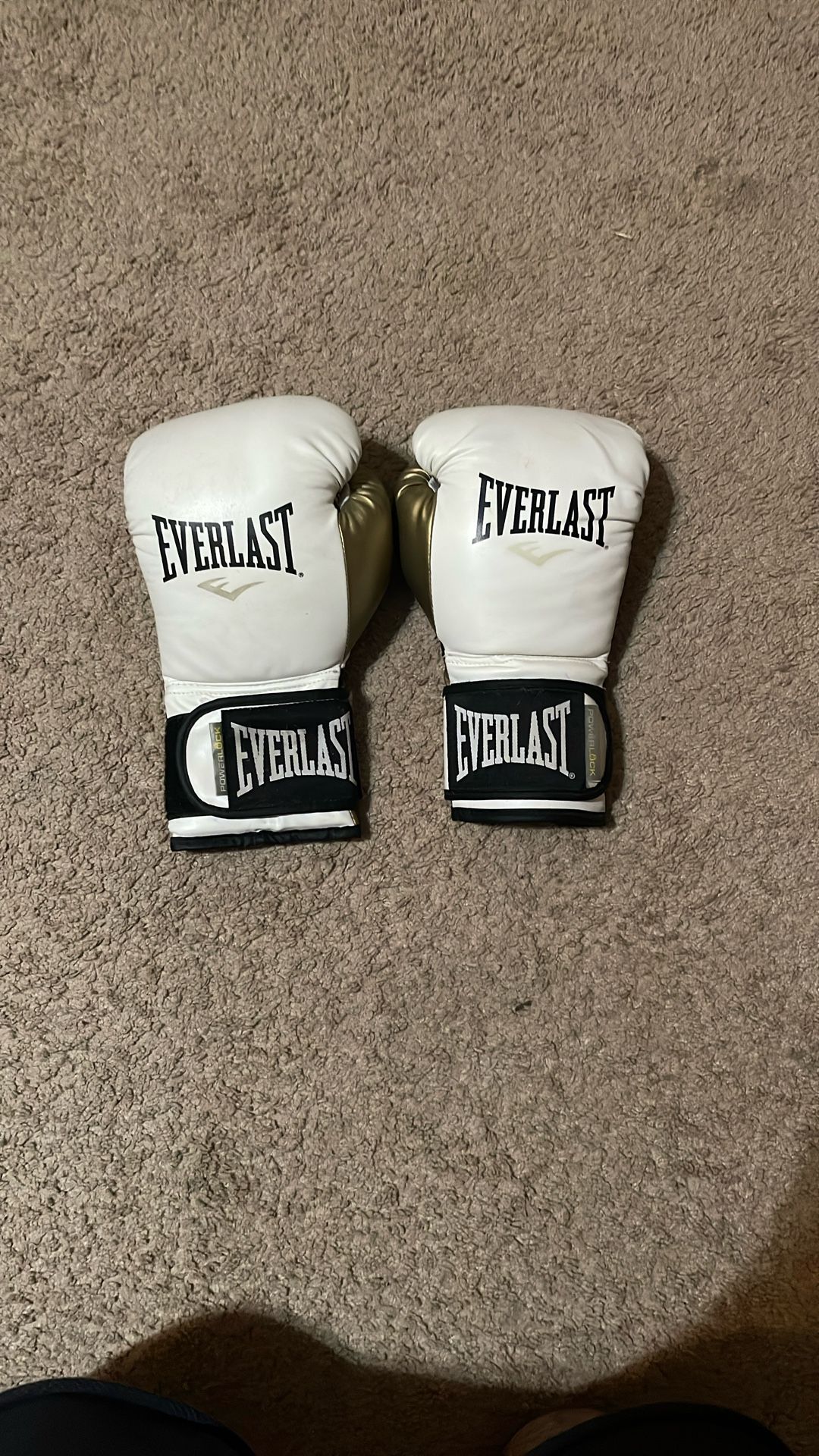 Everlast Boxing Gloves