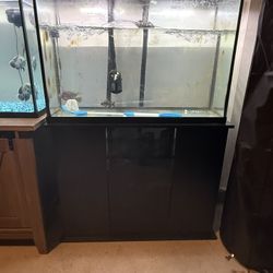45 Gallon Aquarium Complete Setup with Fluval FX2 Filter 