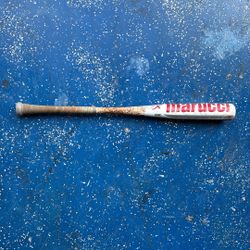 Baseball Bat