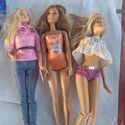 Barbie Dolls And Horse
