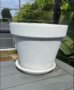 Beautiful Contemporary Ceramic Planter with Soil