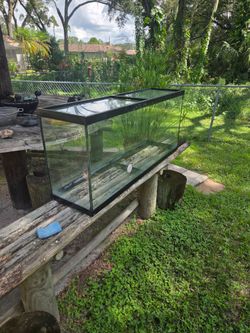 Large Glass Aquarium Tank with Black Frame