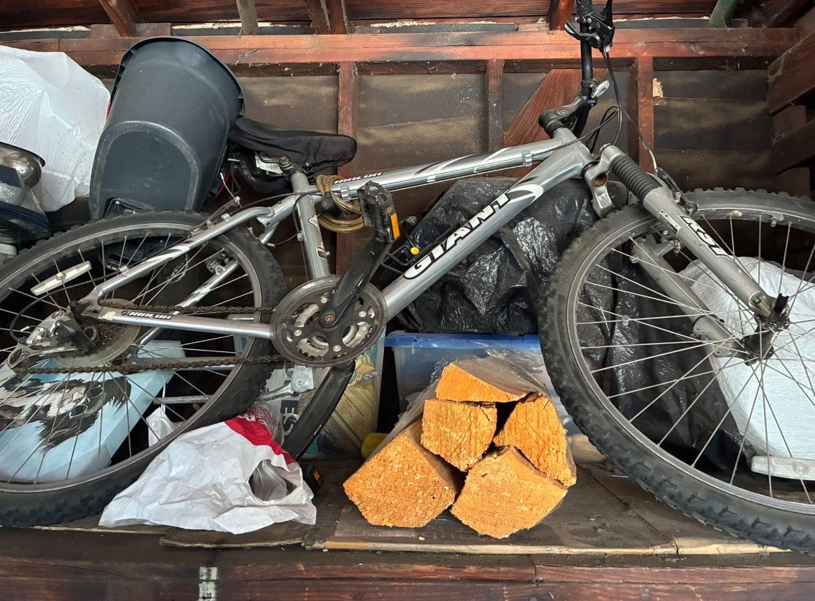 Trail Bike