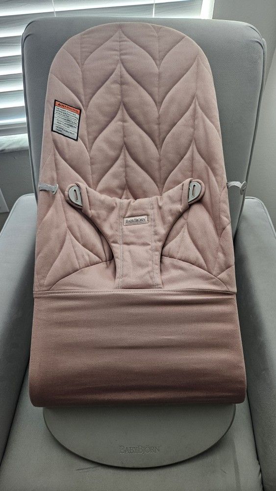Baby Bjorn Bouncer Seat