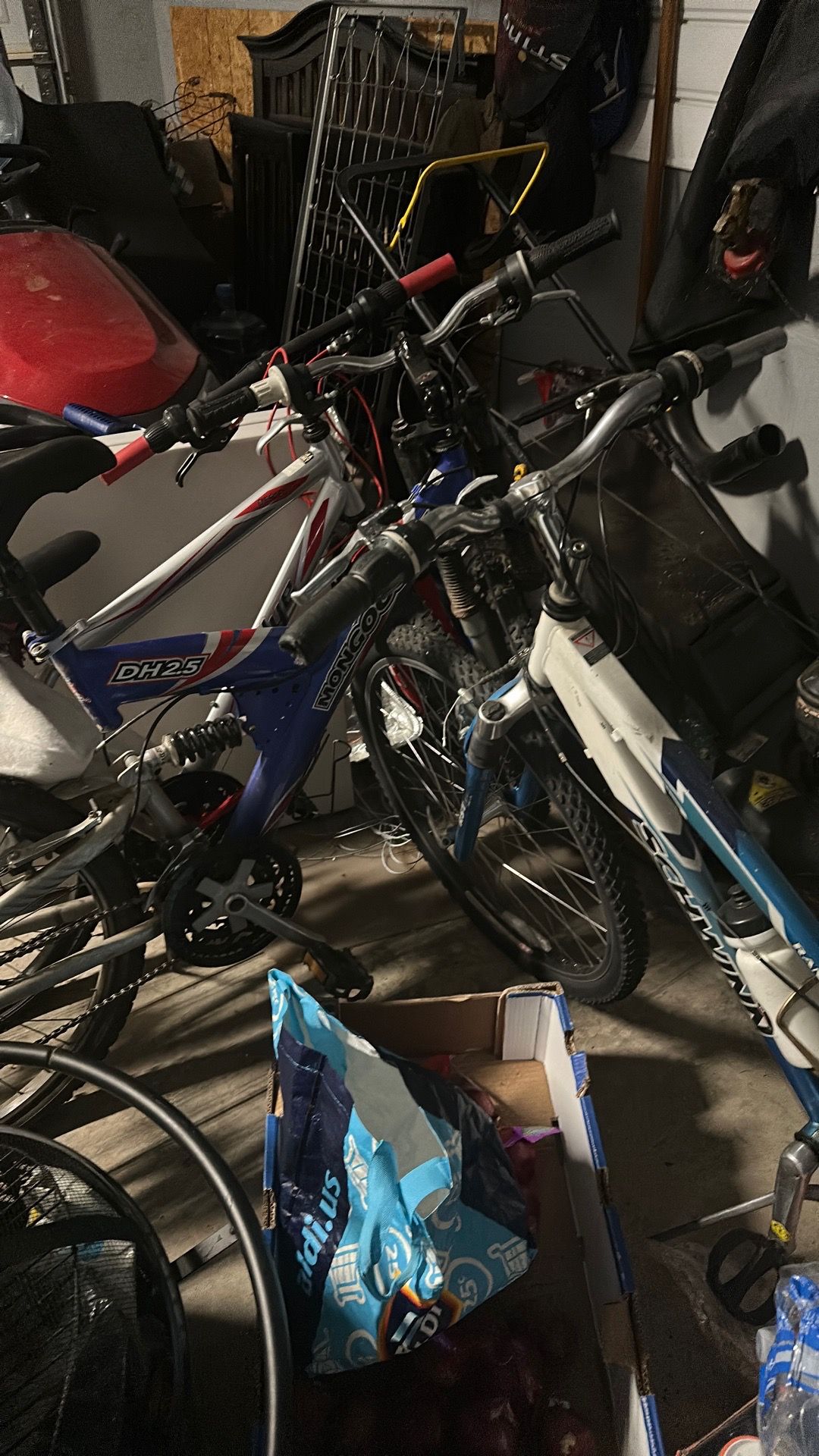 Bike for adults